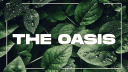 The Oasis banner