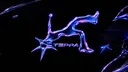 Steppas banner
