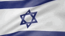 bitchdogs banner