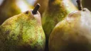 Pear INC :D banner