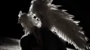 𝓐𝓷𝓰𝓮𝓵₊꒰ა ✦ ໒꒱ ‧₊˚ banner