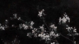 ♥𝓒𝓱𝓲𝓵𝓵 𝓬𝓪𝓯𝓮 ♥ server banner