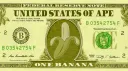 Ape Banking DAO (🐒, 💸) banner
