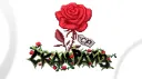 СкамРайз | 3 сезон banner