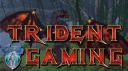 Trident Gaming banner