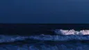 Night Family banner