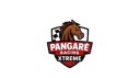 Pangares & Amigos banner