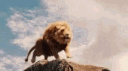 Selfish Lions banner