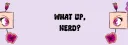 banner