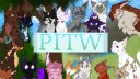 Pokemon- Into the Wild banner