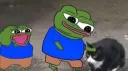 ：CoolCats banner