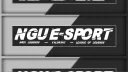 NGU e-Sport banner
