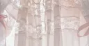 ˃˂ banner