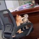 Fren's Café | hangout server  Banner