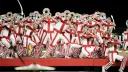 boa things banner