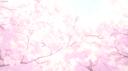 ₊˚𓏲﹕Aphrodis﹕ꮺ Banner
