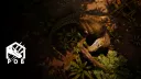 Path of Brasil banner