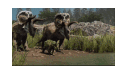 Nat Hist (Path of Titans) banner