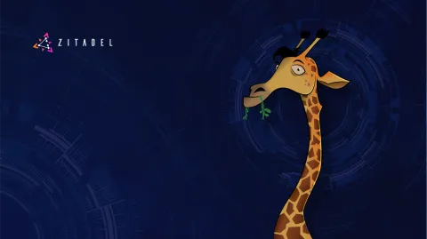 ZITADEL banner