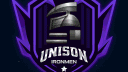 UNISON IRONMEN banner