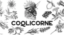Les CoqLicornes 🐓🦄 banner