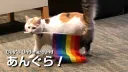 あんぐら! server banner