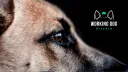 Working Dogs Community banner
