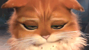 Весёлый Кот banner