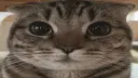 лучше сервера ты не найдешь banner