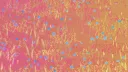 photosynthesis banner