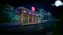 Fried Flamingos NFT banner
