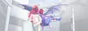 banner