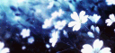 Desireᣟ𐚁˳| banner