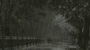 ⁺˖peepee˖⁺ server banner