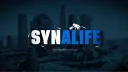 🌴  Synalife V2 | GTA RP banner
