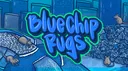 BlueChip Rugs banner