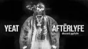 lyfe banner