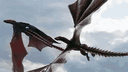 ◦La Lily'S'Anarchie◦ banner