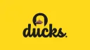 Ducks banner