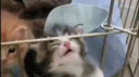Refined banner
