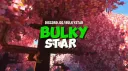 Bulky Star banner