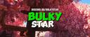 Bulky Star Banner