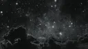 мα∂ ωσяℓ∂ banner