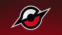Team Carnage banner