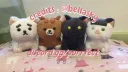 Cat’s Tail  ᗢ  |  Purrfect Tale Community  |  Boost 4 Perks banner