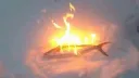 abandon ship banner