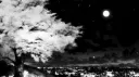 *ੈ✩Panna Discord server banner