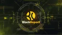 Black Report banner