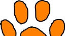 tiger club banner