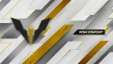 WSR E-Sport banner